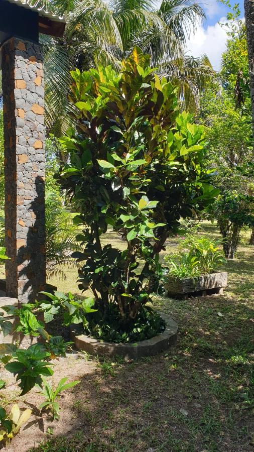 Les Citronniers Bed & Breakfast Ile Sainte-Marie Luaran gambar