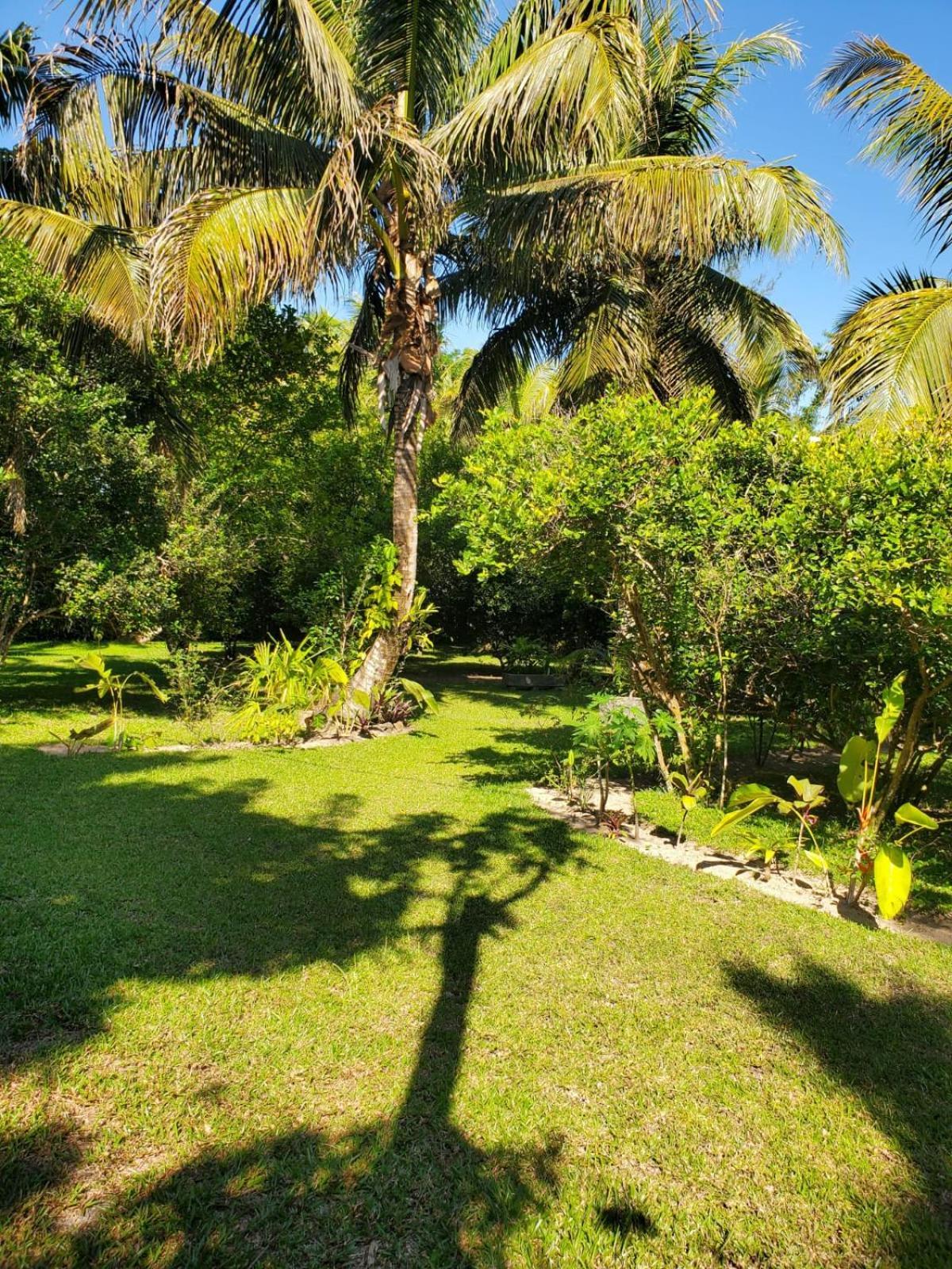 Les Citronniers Bed & Breakfast Ile Sainte-Marie Luaran gambar